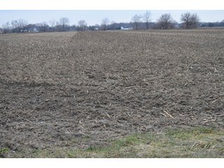 Property photo 15 - 175 Acres Offered in 5 Tracts - Tontogany, Ohio Farm Land Auction